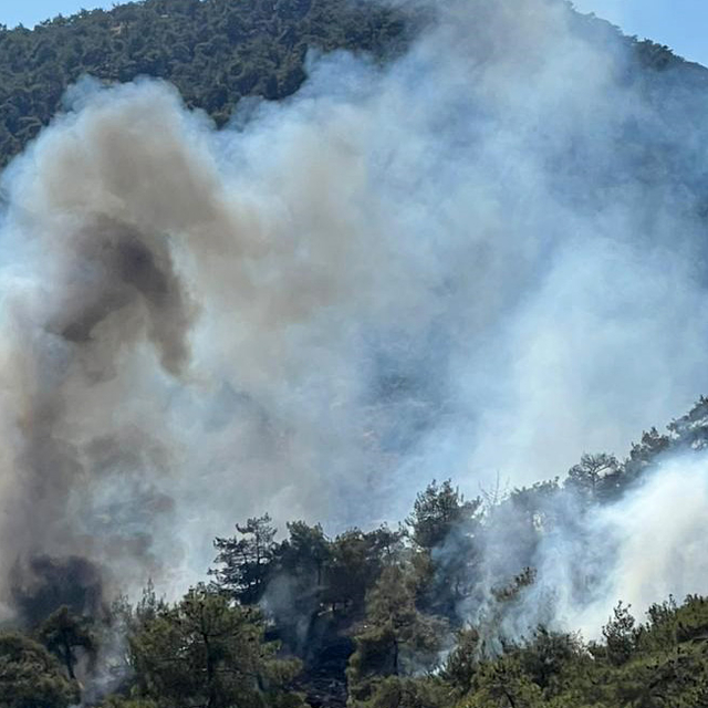 Gaziantep'te orman yangını 1,5 saatte söndürüldü