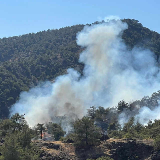Gaziantep'te çıkan orman yangınında 1 hektar alan zarar gördü