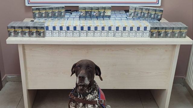 Kayseri'de 640 paket kaçak sigara ele geçirildi