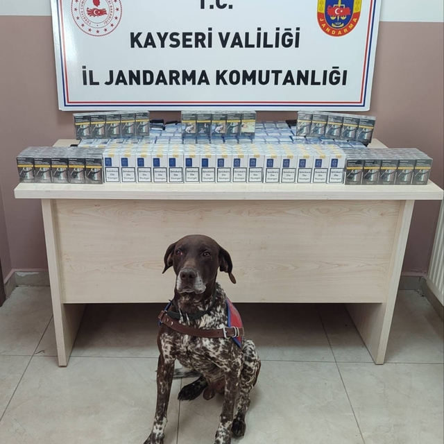Kayseri'de 640 paket kaçak sigara ele geçirildi