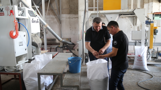 Lezzetiyle öne çıkan "karaduman" çerezlik ayçiçeği çeşidi hastalıklara karşı güçlendirildi