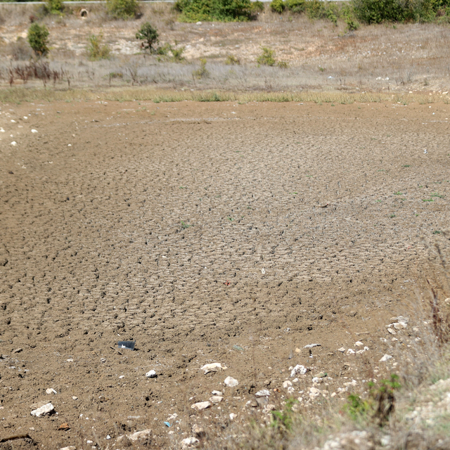 Kırklareli'nin Taşlık Göleti kuraklık nedeniyle kurudu