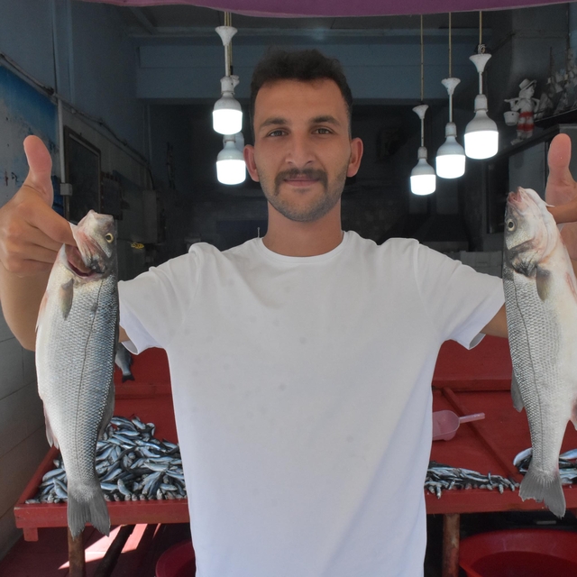 Denizdeki sardalya bolluğu fiyatlara yansıdı