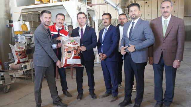 Bitlis'te kuru fasulye hasadı başladı