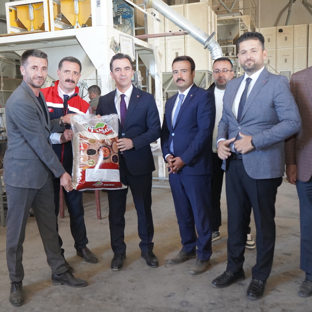 Bitlis'te kuru fasulye hasadı başladı