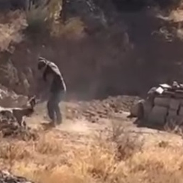 Sivas'ta yavru köpeğe sopalı şiddete gözaltı