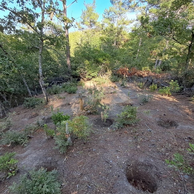 Çanakkale'de uyuşturucu operasyonunda 2 şüpheli yakalandı