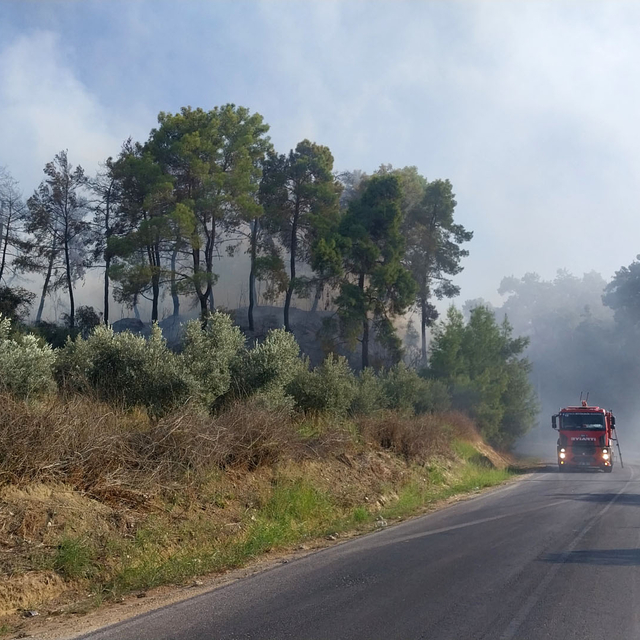 Antalya'da orman yangını