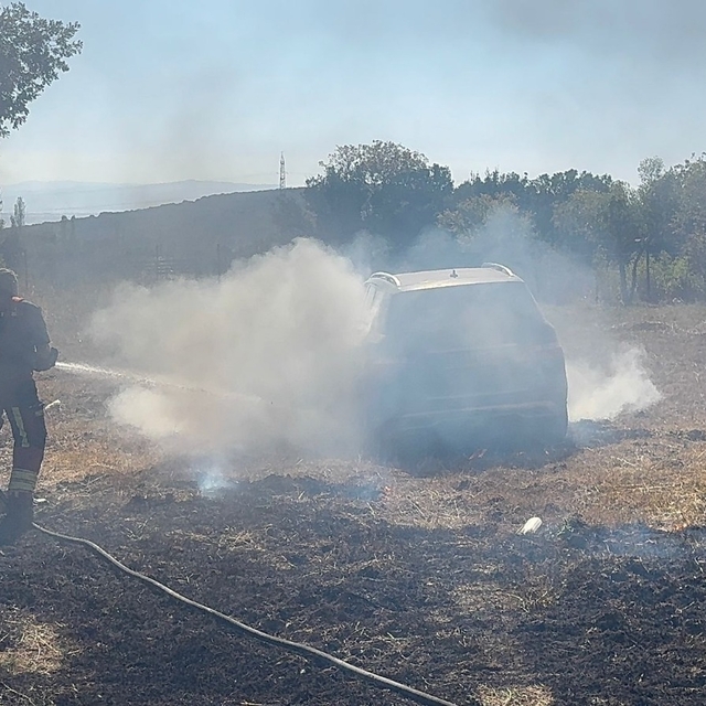 Balıkesir'de anız yangını; zeytin ağaçları ile 1 otomobil yandı