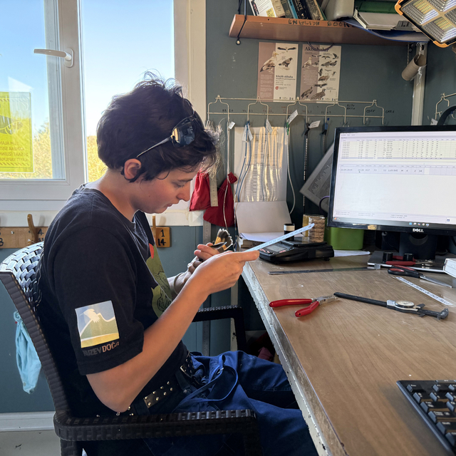 Alman kuş bilimci Iğdır'ın kuş çeşitliliğine halkalamayla katkı sağlıyor