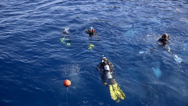 Altın Palet Sualtı Görüntüleme Türkiye Şampiyonası Fethiye'de başladı