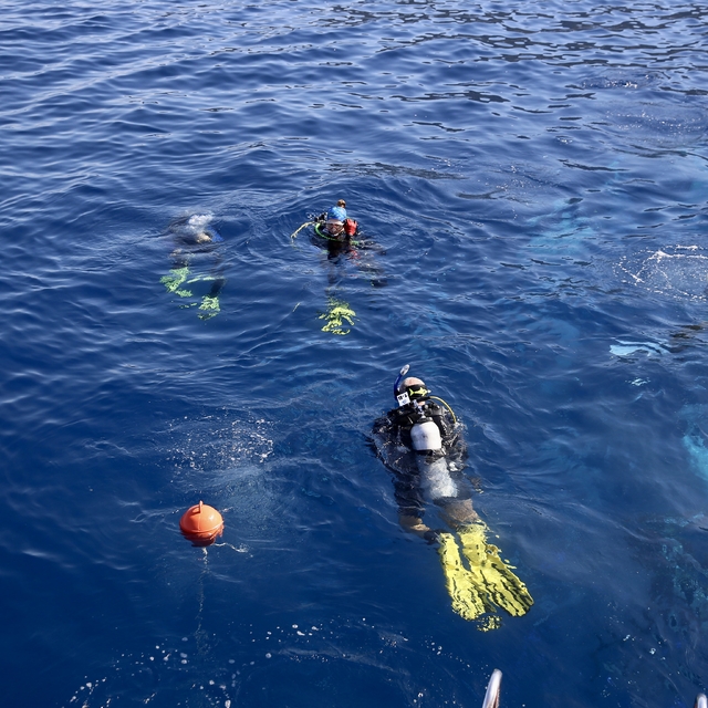 Altın Palet Sualtı Görüntüleme Türkiye Şampiyonası Fethiye'de başladı