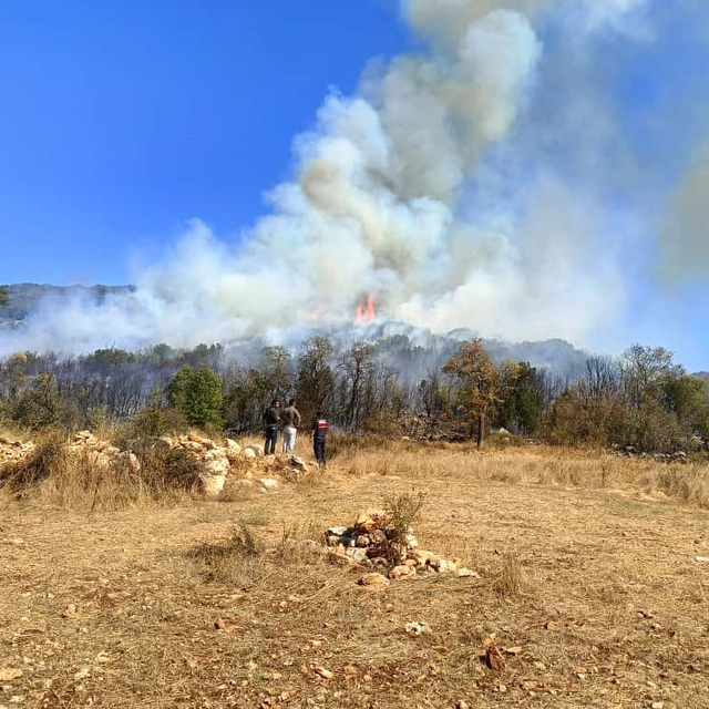 Burdur'da orman yangını