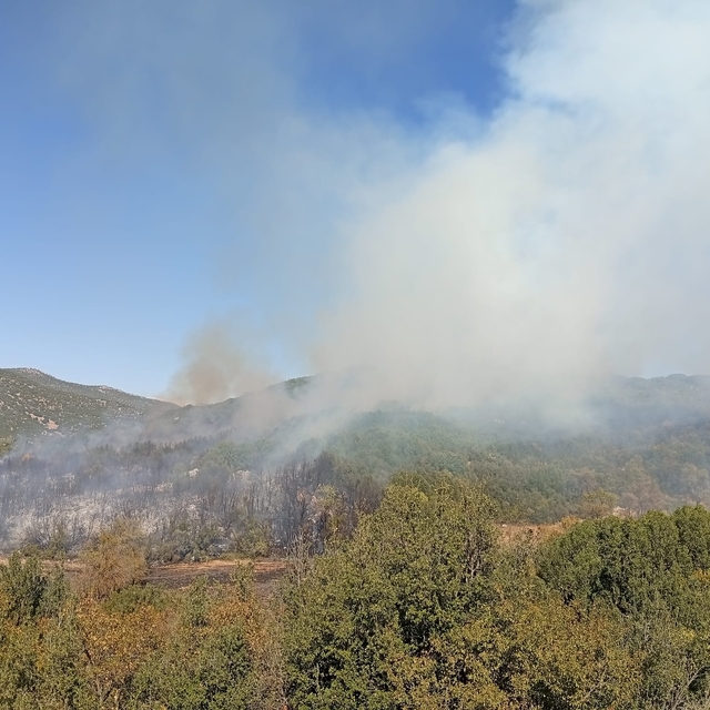 Burdur'da ormanlık alanda çıkan yangına müdahale ediliyor