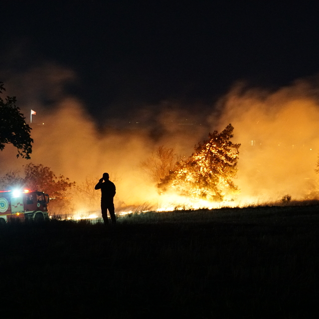 Tekirdağ'da anızda başlayıp ağaçlık alana sıçrayan yangın söndürüldü