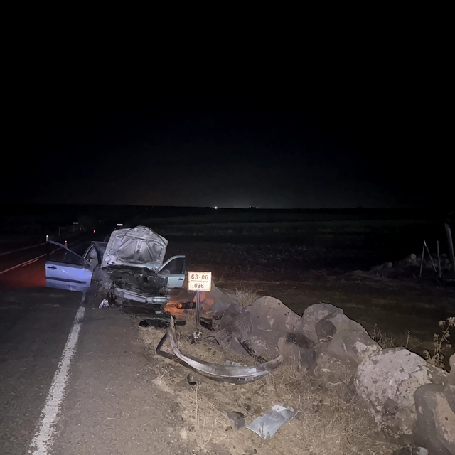 Şanlıurfa'da devrilen otomobildeki 2 kişi yaralandı