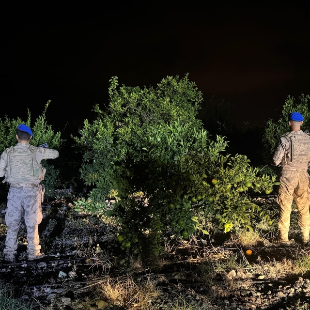 Erzin'de jandarma ekipleri narenciye bahçelerinde tedbirlerini arttırdı