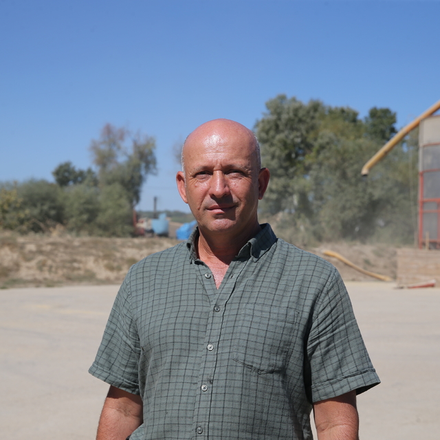 Edirne'de kuraklık ve sıcaklar bu yıl da ayçiçeğinde verimi düşürdü