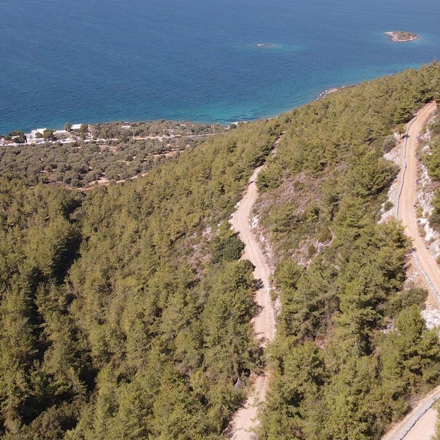 Bodrum'da baba oğul ata mesleği arıcılığı ürün çeşitlendirmesiyle sürdürüyo...