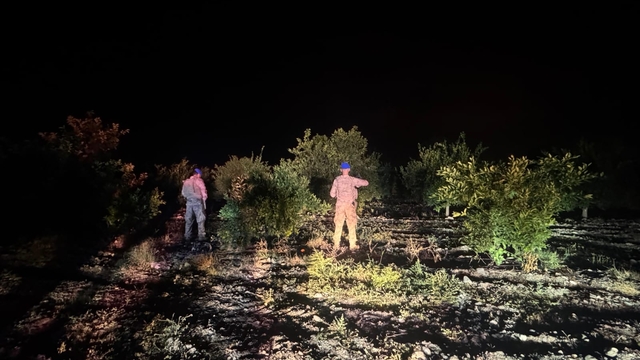 Hatay'da narenciye bahçelerinde hırsızlığa karşı komandolu önlem