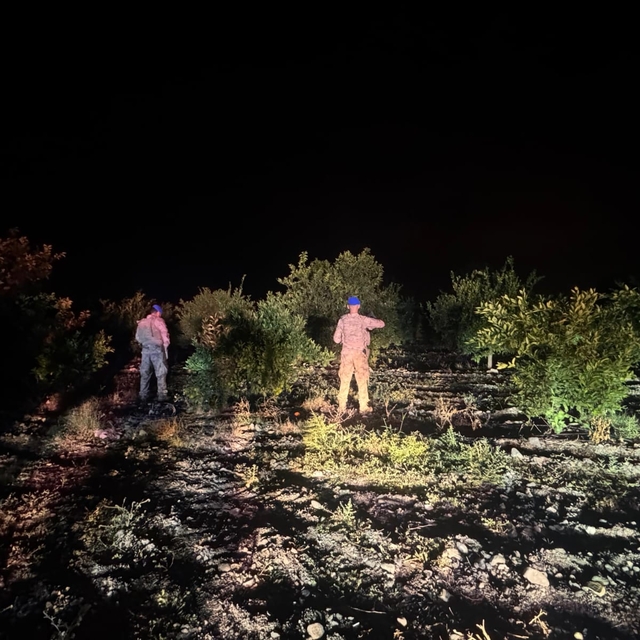 Hatay'da narenciye bahçelerinde hırsızlığa karşı komandolu önlem