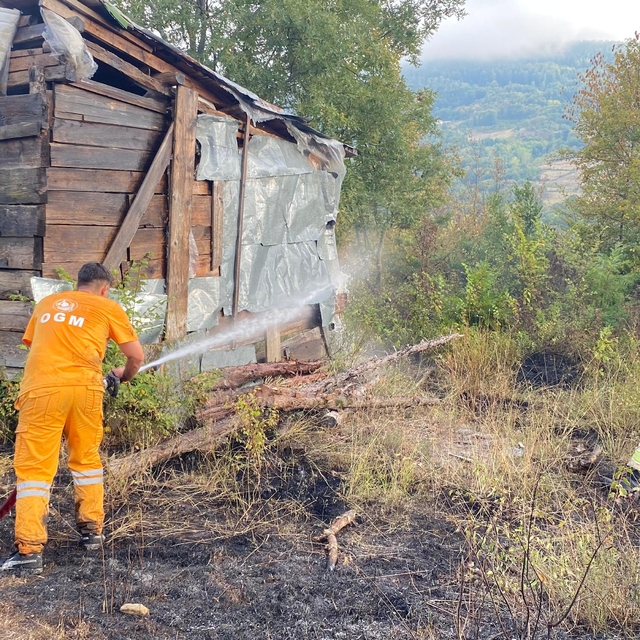 Türkeli'de çıkan örtü yangını söndürüldü