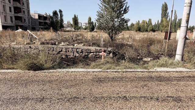 Evinin önündeki ot yangınında yaşamını yitirdi