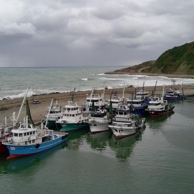 Türkeli'de balık avcılığına olumsuz hava koşulu engeli