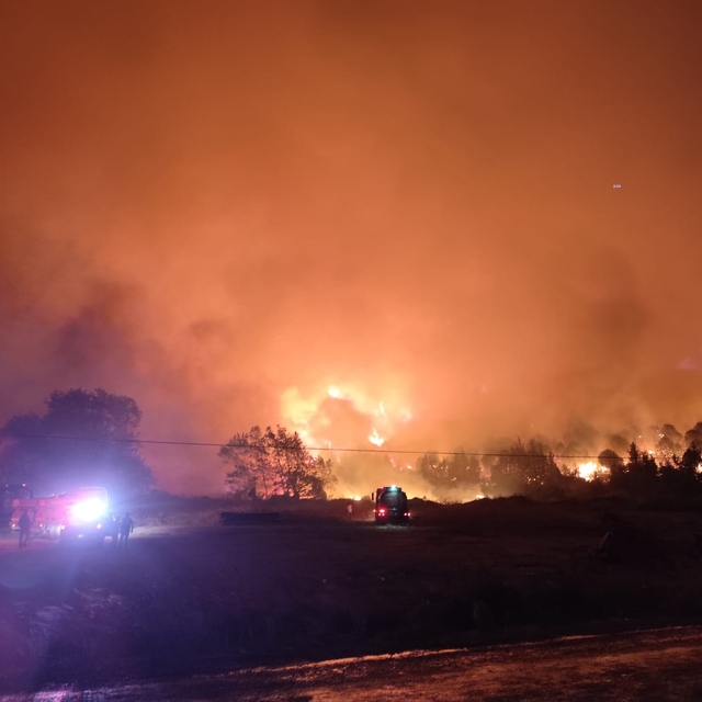 Bursa'da orman yangını