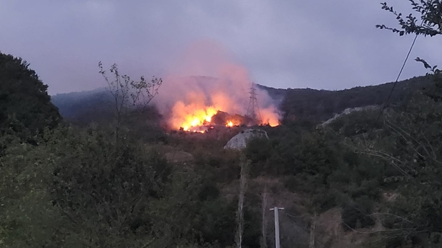 Sakarya'da ormanlık alanda çıkan yangın kontrol altına alındı