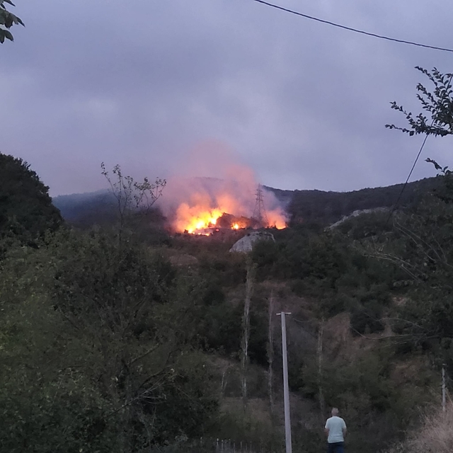 Sakarya'da ormanlık alanda çıkan yangın kontrol altına alındı