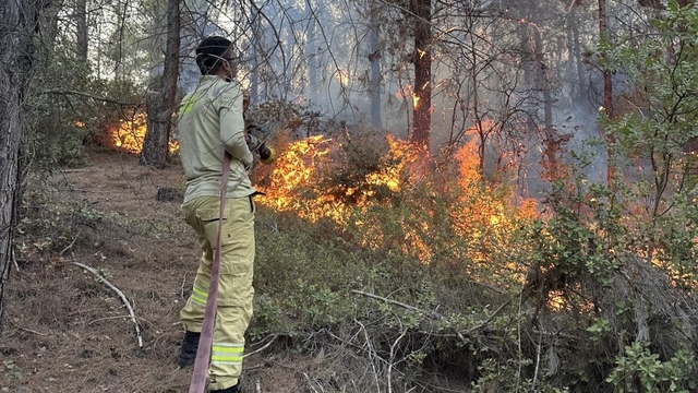 Osmaniye'deki orman yangını 1 saatte söndürüldü