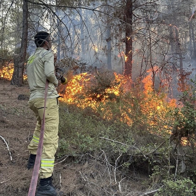 Osmaniye'deki orman yangını 1 saatte söndürüldü