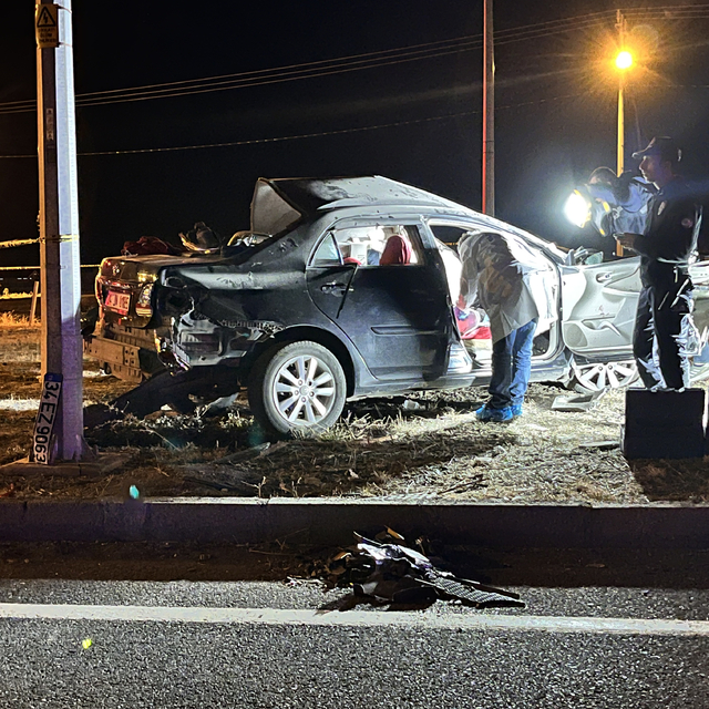 Kars'ta tomruk yüklü kamyonla çarpışan otomobil sürücüsü öldü
