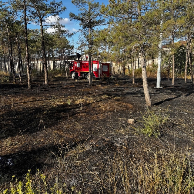 Kırklareli'nde Waldorf Çamlığında çıkan yangın söndürüldü