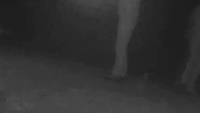 Ormanda bozayı vuran kaçak avcılara toplam 170 bin TL ceza