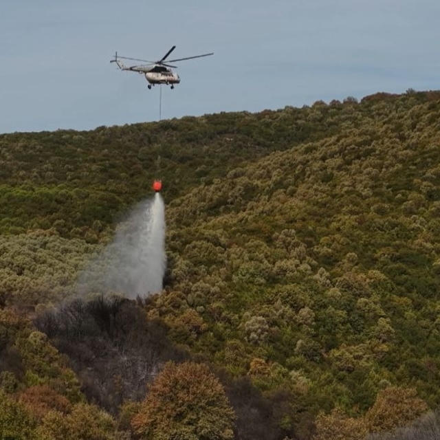 Bursa'da orman yangını; 14 saatte söndürüldü
