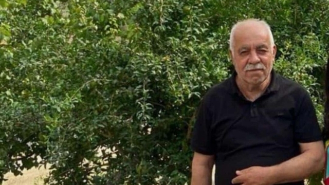 Ceviz toplamak için çıktığı ağaçtan düşen muhtar öldü