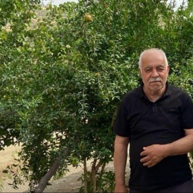 Ceviz toplamak için çıktığı ağaçtan düşen muhtar öldü