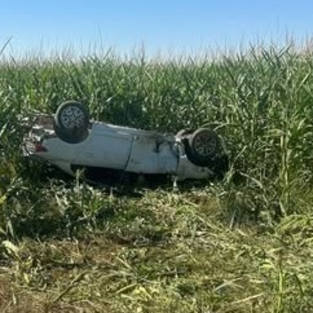 Şanlıurfa'da otomobil, tarlaya devrildi; 1 ölü, 1 yaralı