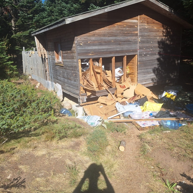 Uludağ'da ayı, girdiği barakada hasar oluşturdu