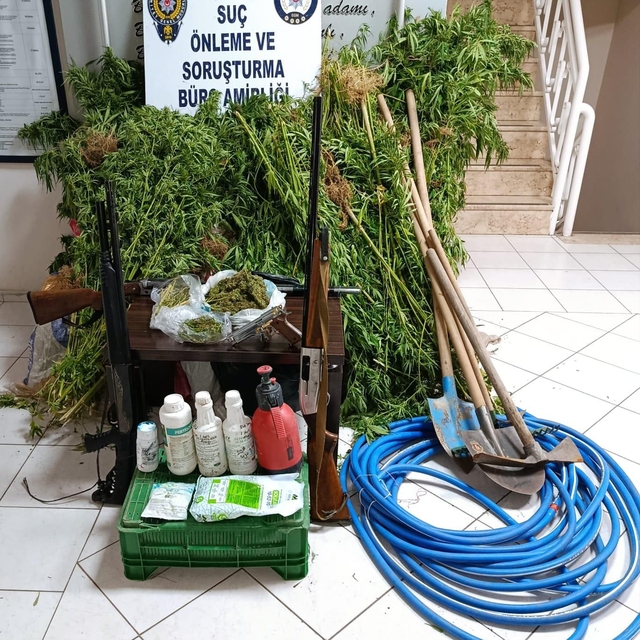 İzmir'de ormanlık alanda Hint keneviri yetiştiren şüpheli yakalandı