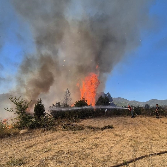 Bursa'da ormanlık alanda çıkan yangına müdahale ediliyor