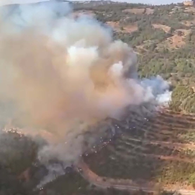 Balıkesir'de orman yangını