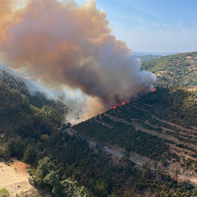 Balıkesir'de kaza yapan aracın neden olduğu orman yangınına müdahale ediliy...