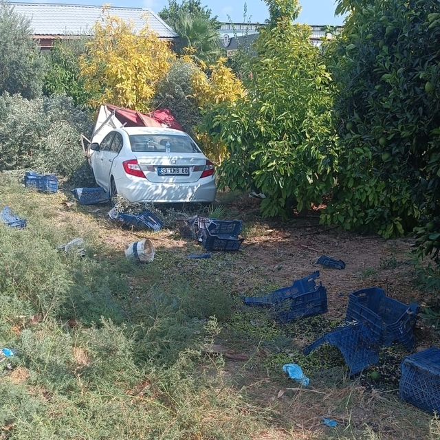Mersin'de otomobilin zeytin toplayan işçilere çarptığı kazada 1 kişi öldü,...