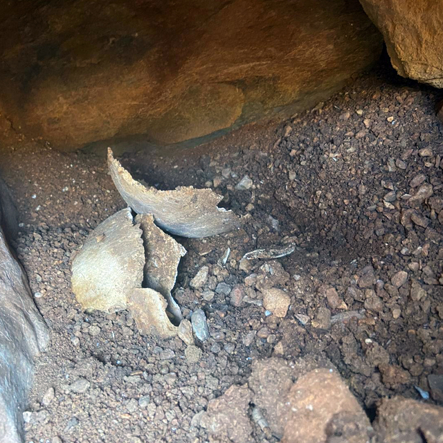 Muğla'da su deposu çalışmasında tarihi eser bulundu