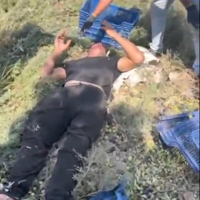 Otomobil, bahçede çalışan işçilere çarptı; 1 ölü, 3 yaralı