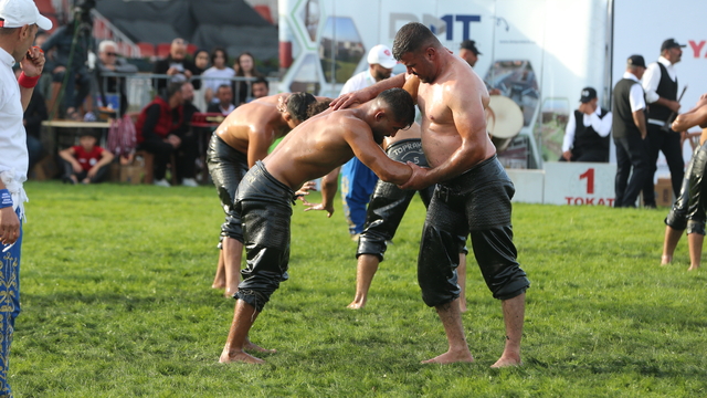 Tokat'ta 1. Ali Yücel Yağlı Pehlivan Güreşleri yapıldı