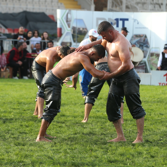 Tokat'ta 1. Ali Yücel Yağlı Pehlivan Güreşleri yapıldı